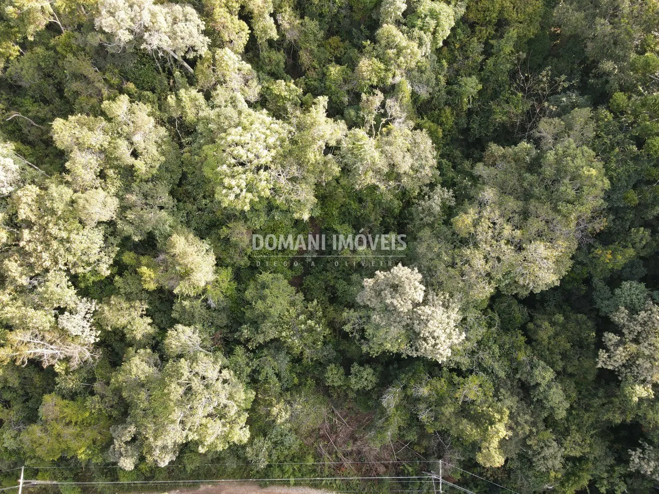 Terreno à venda de 1.030 m² em Campos do Jordão, SP, Brasil