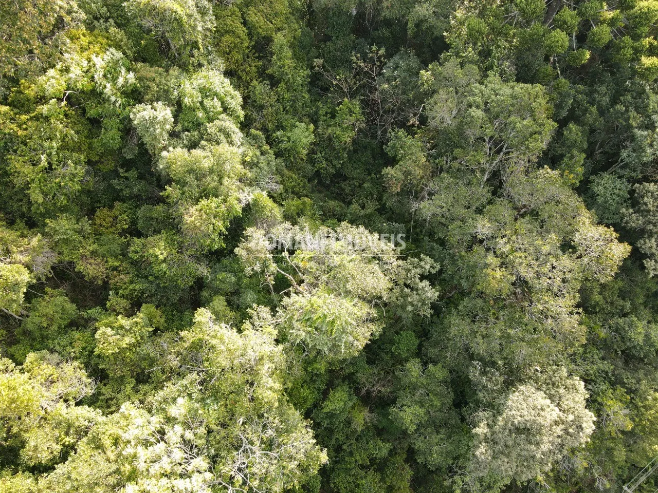 Terreno à venda de 1.030 m² em Campos do Jordão, SP, Brasil