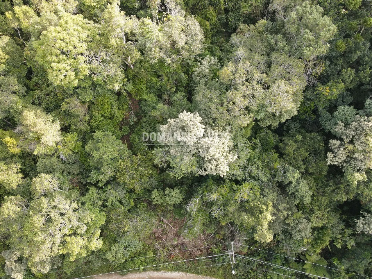 Terreno à venda de 1.030 m² em Campos do Jordão, SP, Brasil