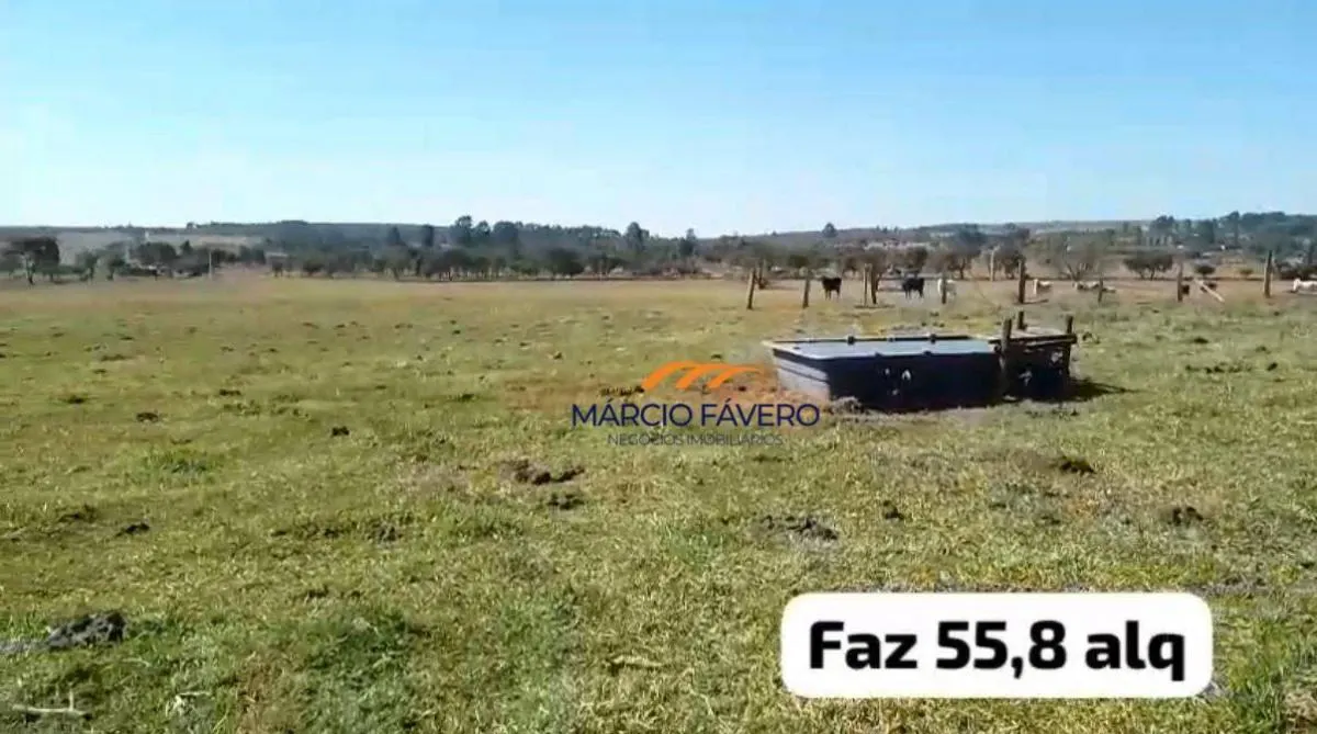 Fazenda à venda de 135 ha em Descalvado, SP, Brasil