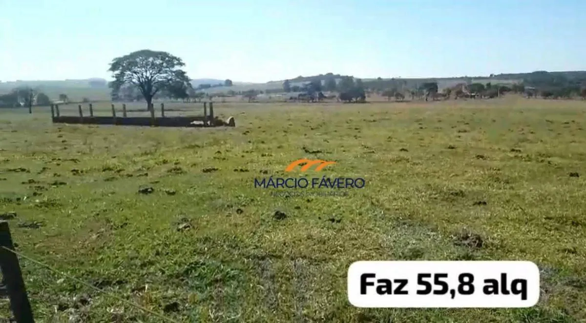 Fazenda à venda de 135 ha em Descalvado, SP, Brasil