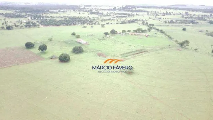 Fazenda à venda de 135 ha em Descalvado, SP, Brasil