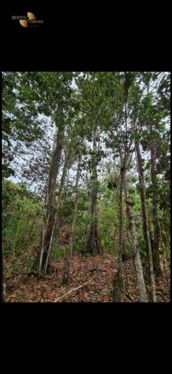 Fazenda à venda de 620 ha em Chapada dos Guimarães, MT, Brasil