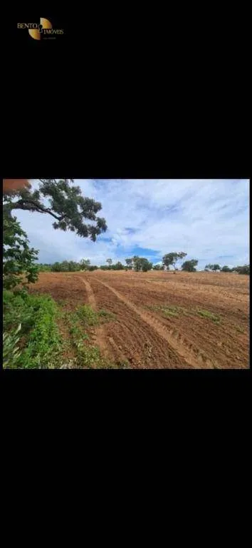 Farm for sale of 1,532 acres in Chapada dos Guimarães, MT, Brazil