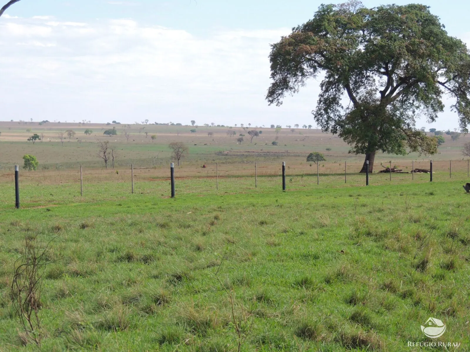 Fazenda à venda de 2.420 ha em Chapadão do Sul, MS, Brasil