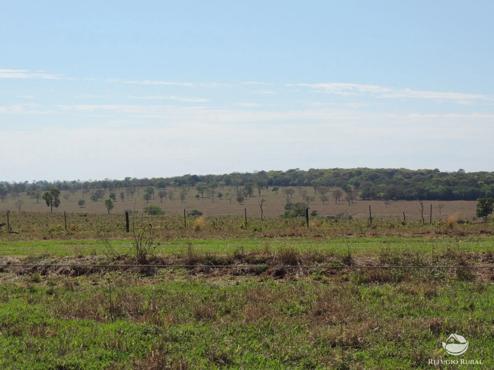 Fazenda à venda de 2.420 ha em Chapadão do Sul, MS, Brasil