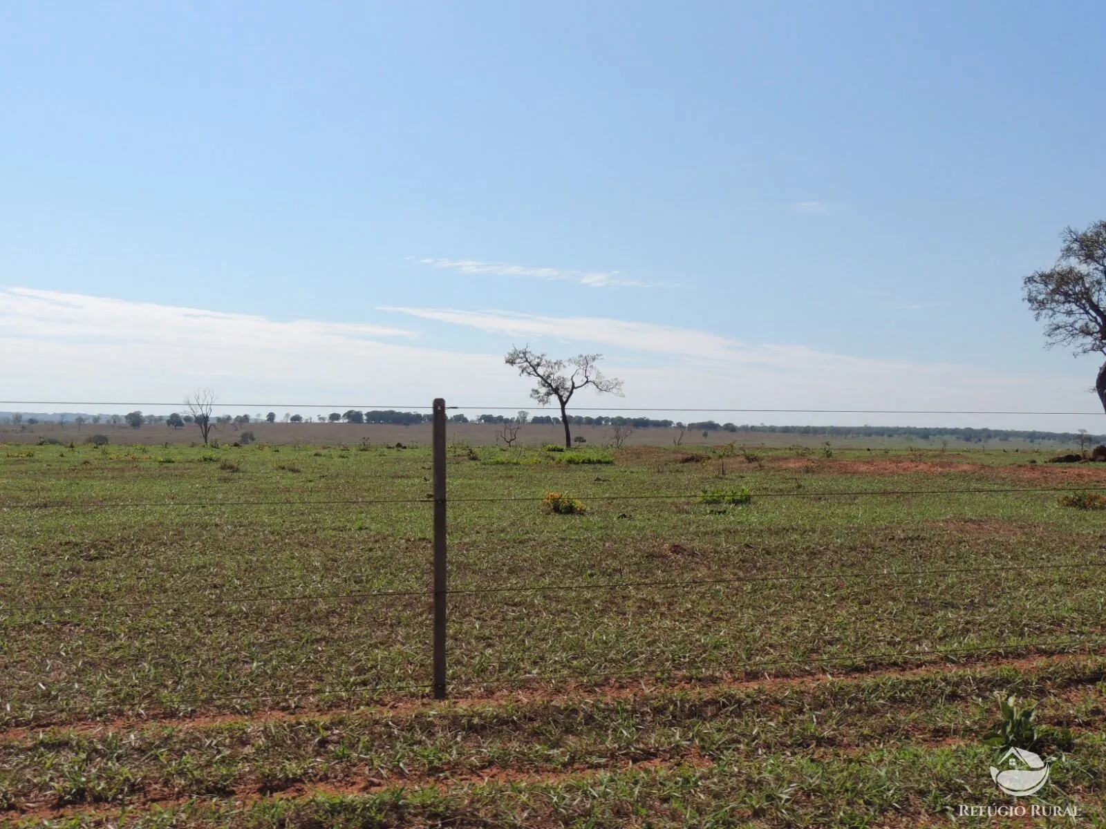 Fazenda à venda de 2.420 ha em Chapadão do Sul, MS, Brasil