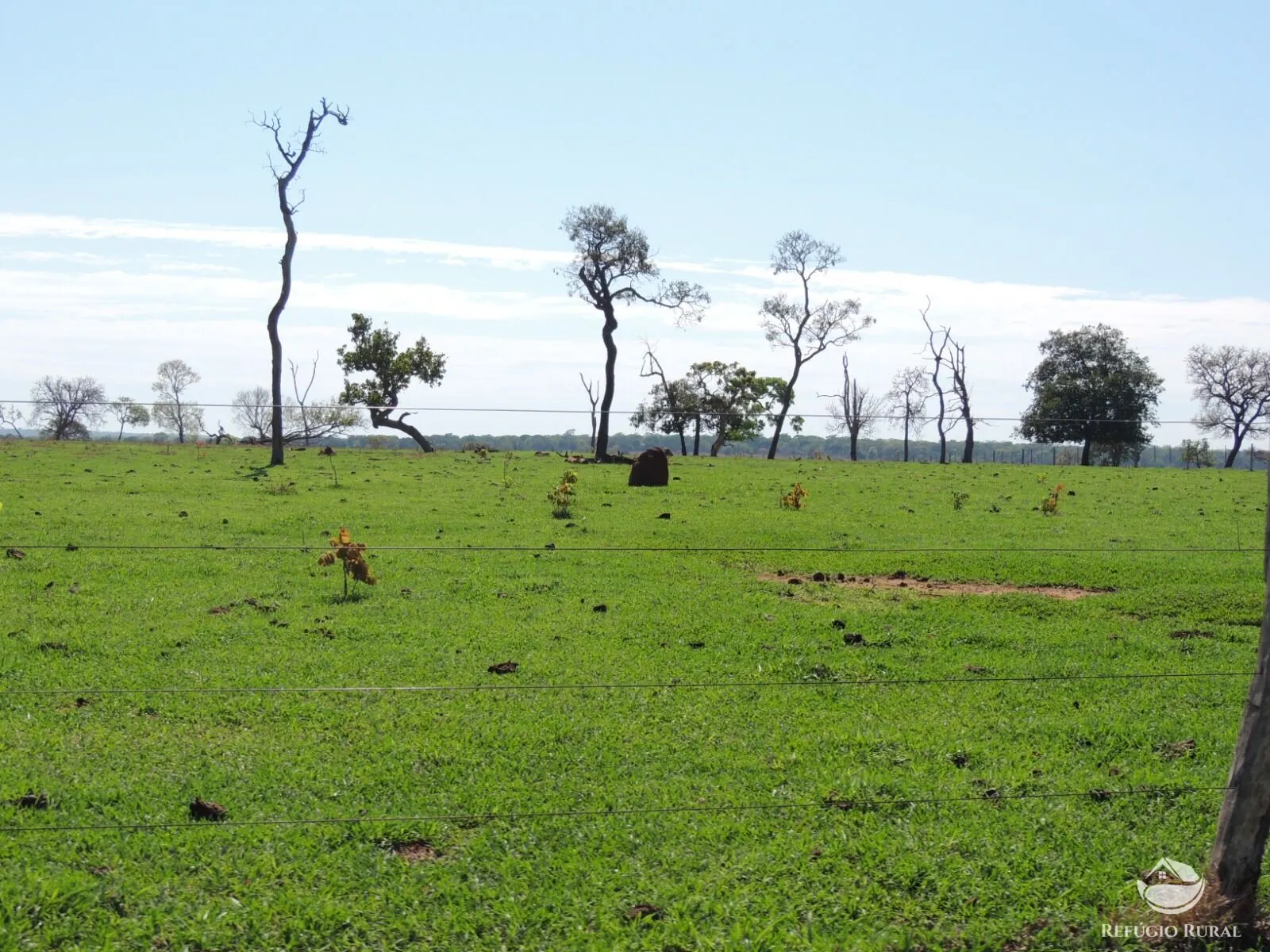 Fazenda à venda de 2.420 ha em Chapadão do Sul, MS, Brasil