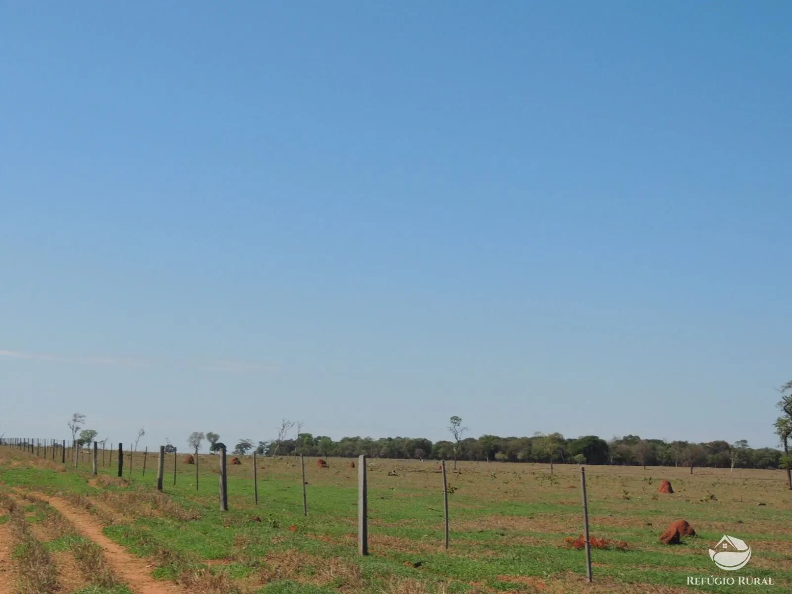 Fazenda à venda de 2.420 ha em Chapadão do Sul, MS, Brasil