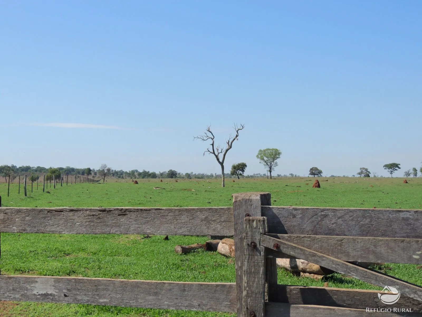 Fazenda à venda de 2.420 ha em Chapadão do Sul, MS, Brasil
