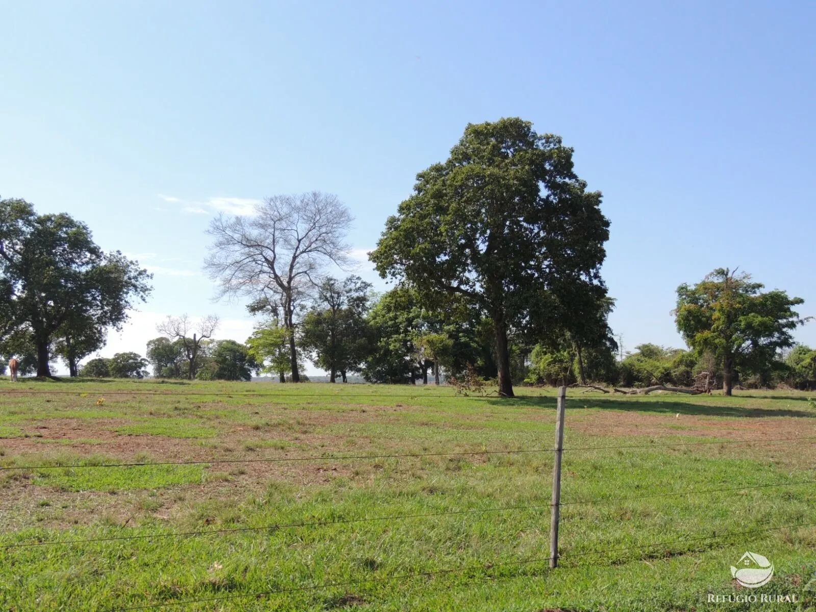 Fazenda à venda de 2.420 ha em Chapadão do Sul, MS, Brasil