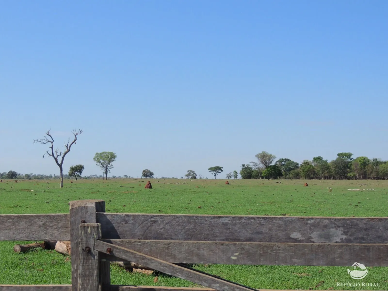 Fazenda à venda de 2.420 ha em Chapadão do Sul, MS, Brasil