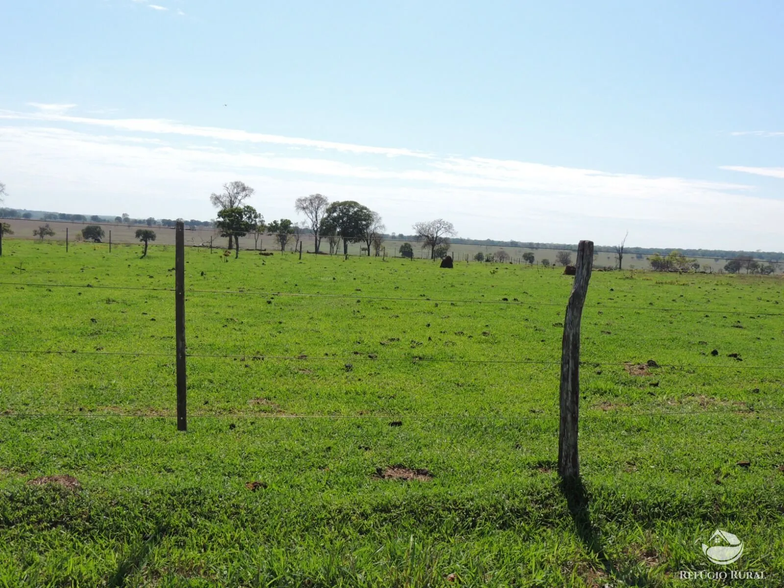 Fazenda à venda de 2.420 ha em Chapadão do Sul, MS, Brasil