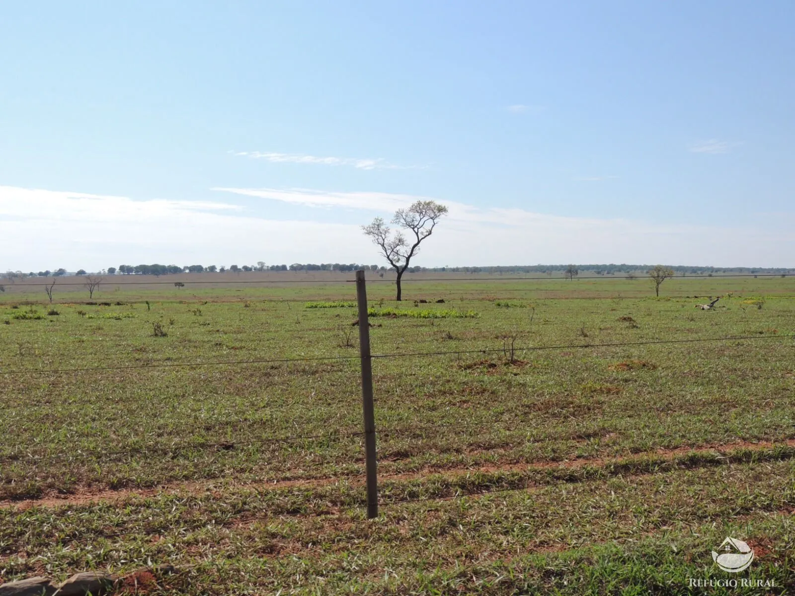 Fazenda à venda de 2.420 ha em Chapadão do Sul, MS, Brasil