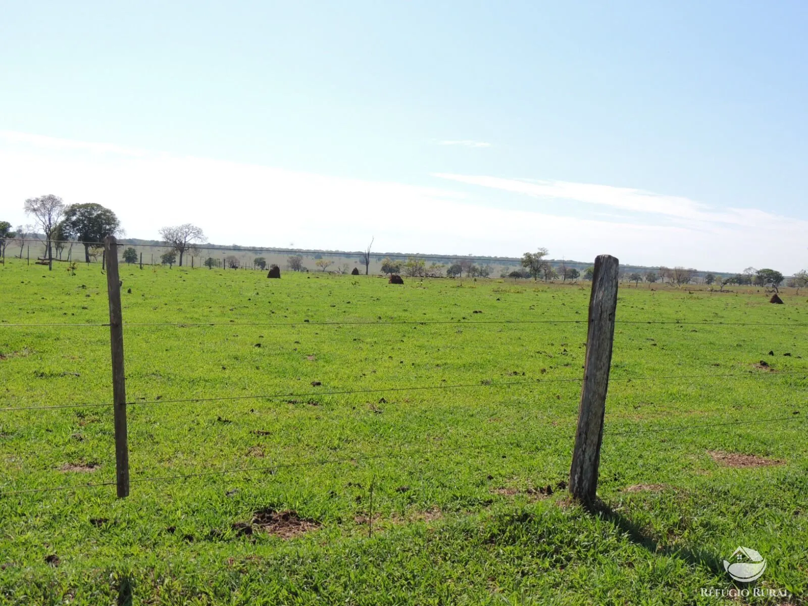 Fazenda à venda de 2.420 ha em Chapadão do Sul, MS, Brasil