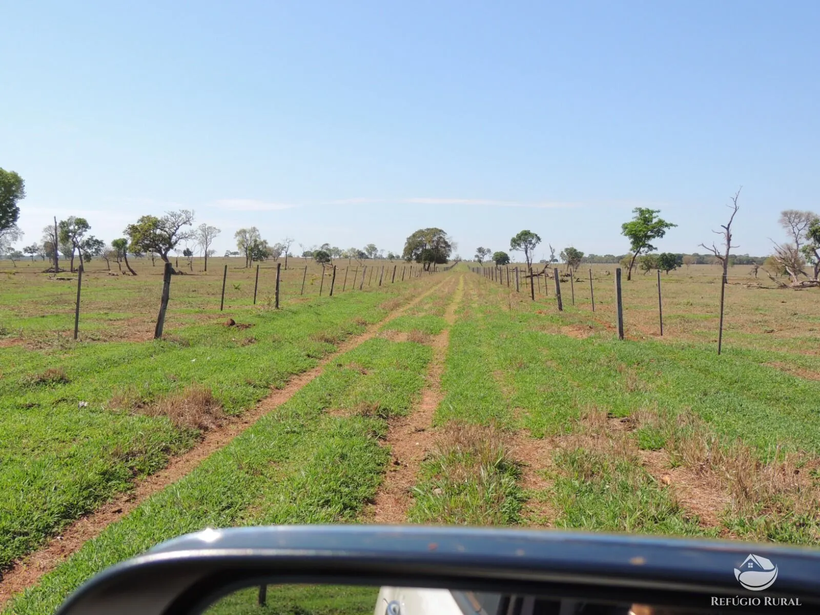 Fazenda à venda de 2.420 ha em Chapadão do Sul, MS, Brasil