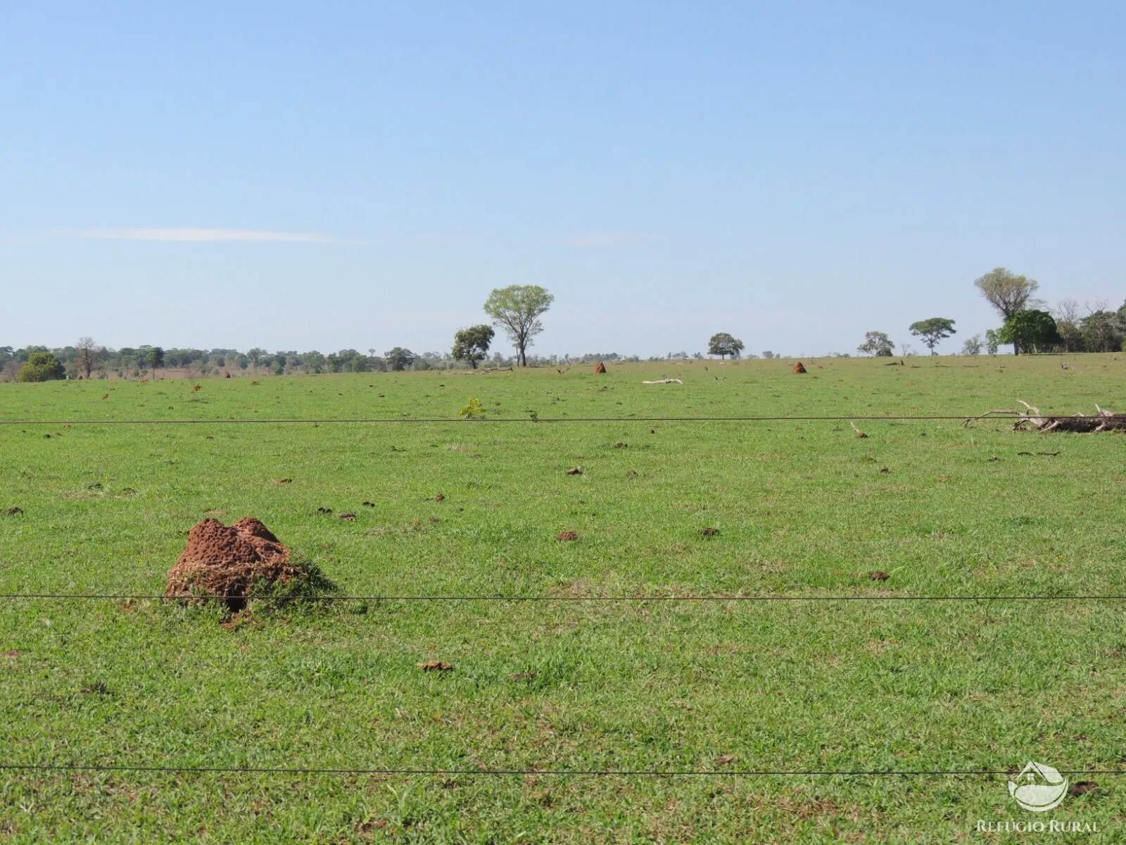 Fazenda à venda de 2.420 ha em Chapadão do Sul, MS, Brasil