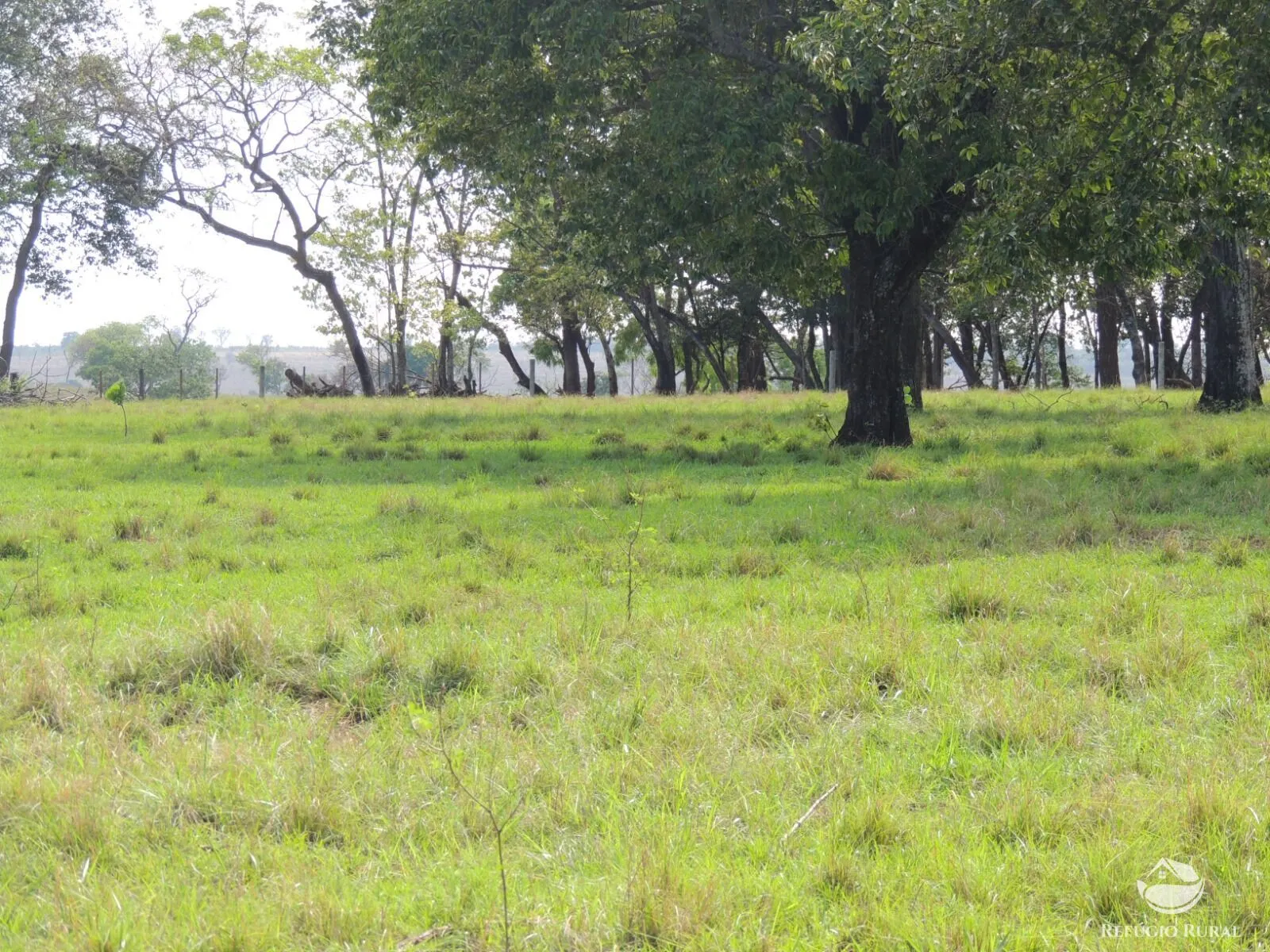 Fazenda à venda de 2.420 ha em Chapadão do Sul, MS, Brasil