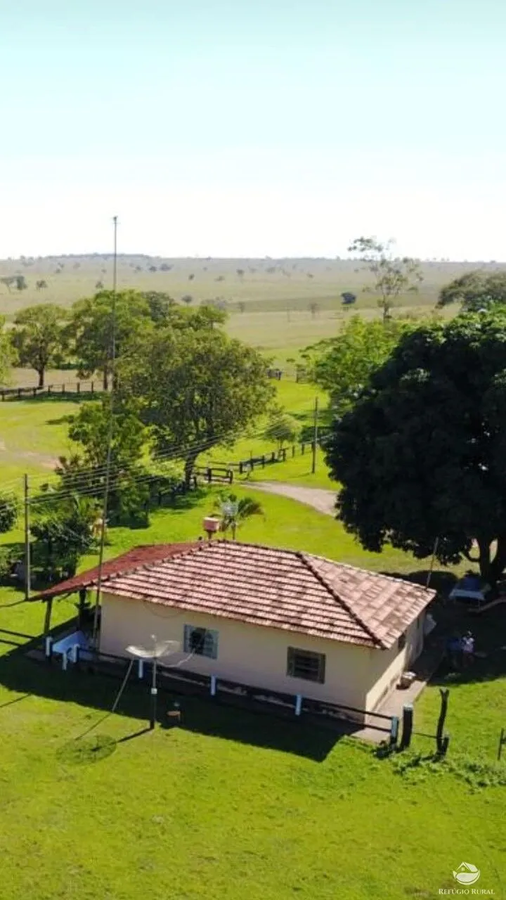 Fazenda à venda de 2.420 ha em Chapadão do Sul, MS, Brasil