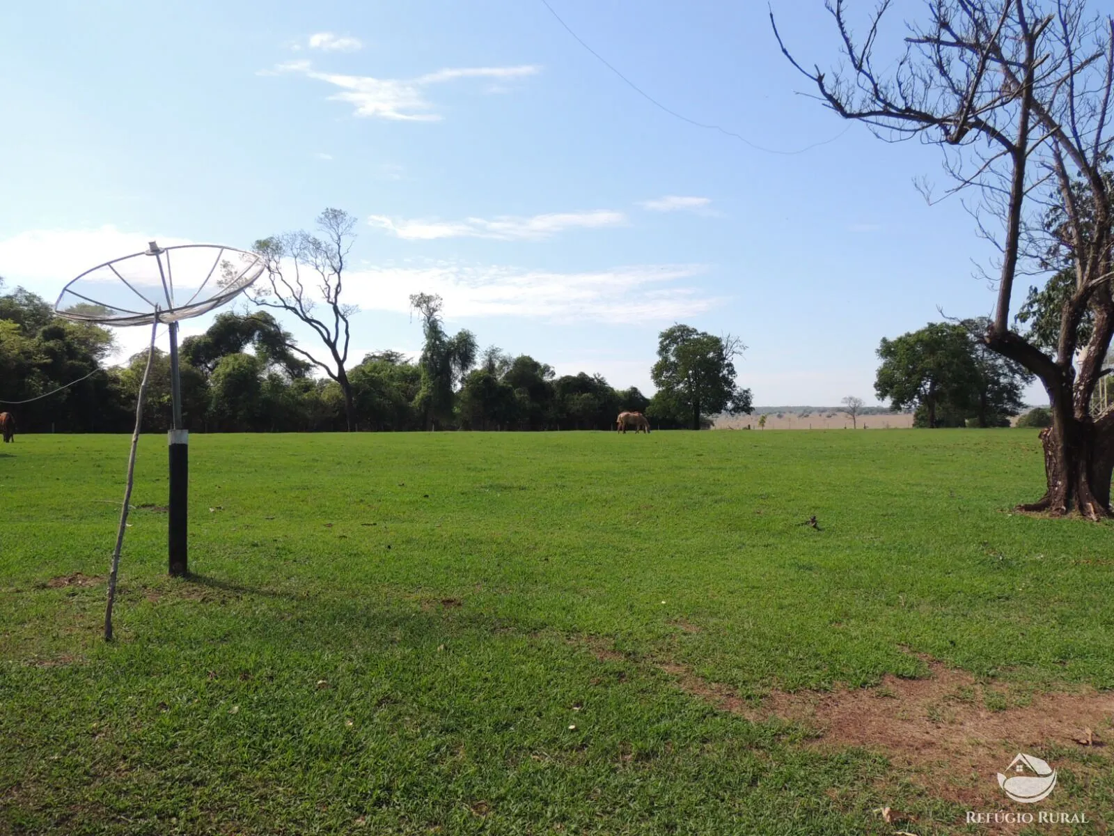 Fazenda à venda de 2.420 ha em Chapadão do Sul, MS, Brasil