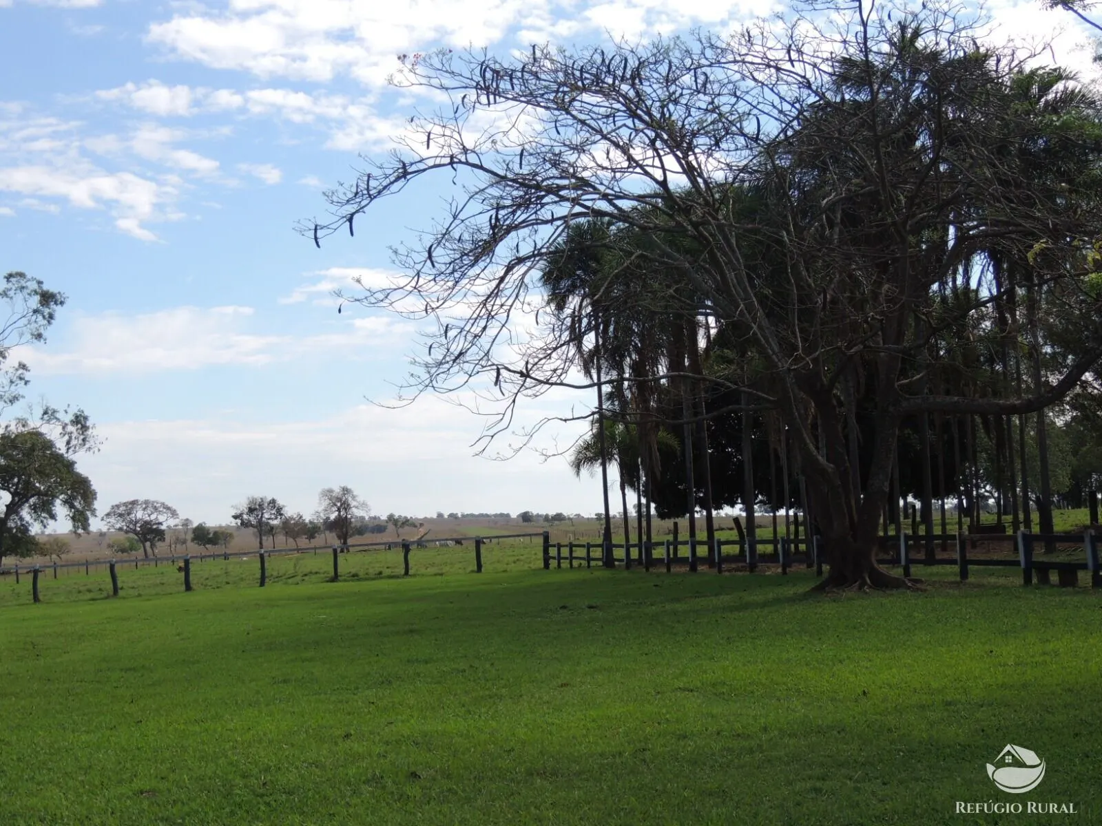 Fazenda à venda de 2.420 ha em Chapadão do Sul, MS, Brasil