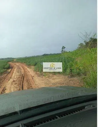 Fazenda à venda de 697 ha em Araguaína, TO, Brasil