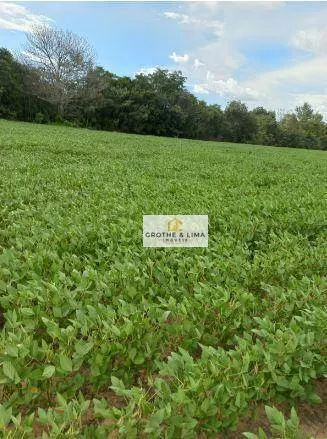 Fazenda à venda de 697 ha em Araguaína, TO, Brasil