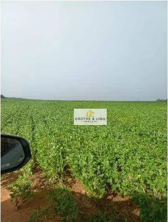 Fazenda à venda de 697 ha em Araguaína, TO, Brasil