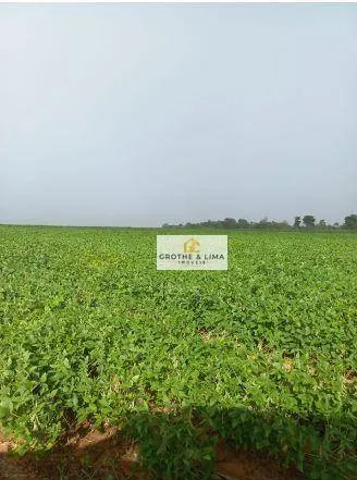 Fazenda à venda de 697 ha em Araguaína, TO, Brasil