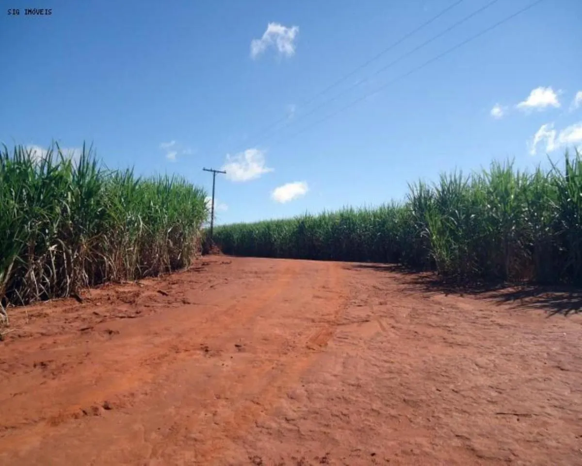 Fazenda à venda de 1.463 ha em Presidente Prudente, SP, Brasil