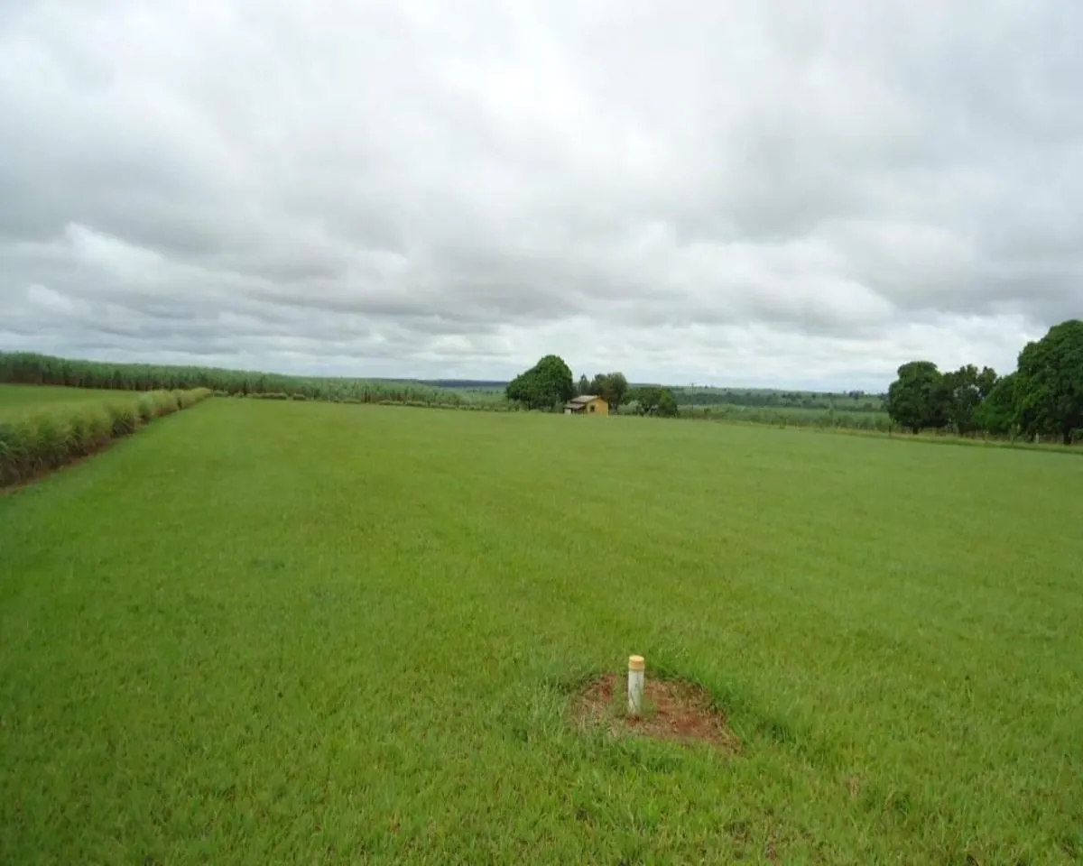 Fazenda à venda de 1.463 ha em Presidente Prudente, SP, Brasil