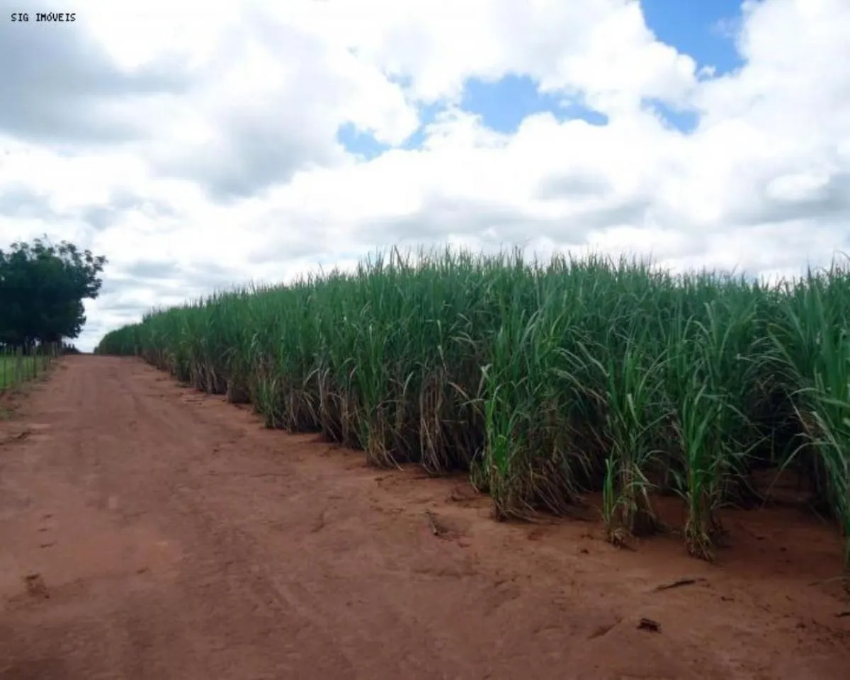 Fazenda à venda de 1.463 ha em Presidente Prudente, SP, Brasil