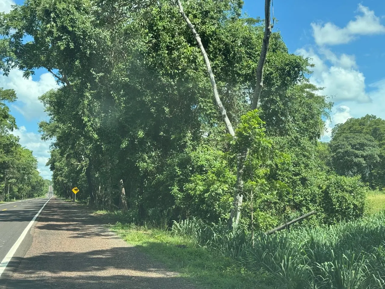 Terreno à venda de 8 ha em Miranda, MS, Brasil