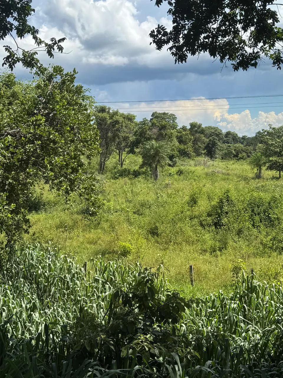 Plot for sale of 20 acres in Miranda, MS, Brazil