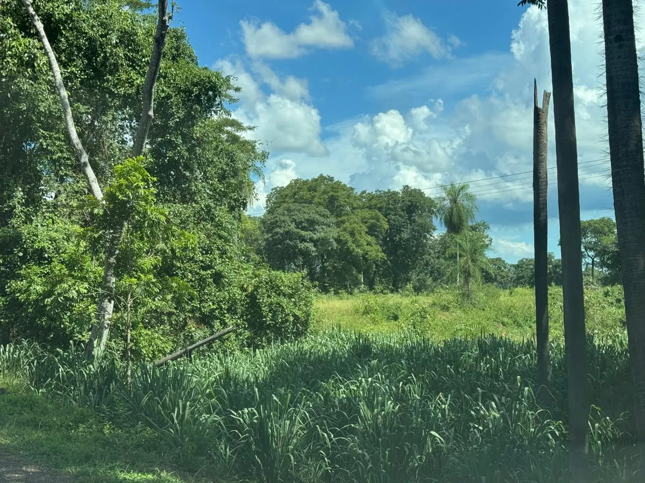 Plot for sale of 20 acres in Miranda, MS, Brazil