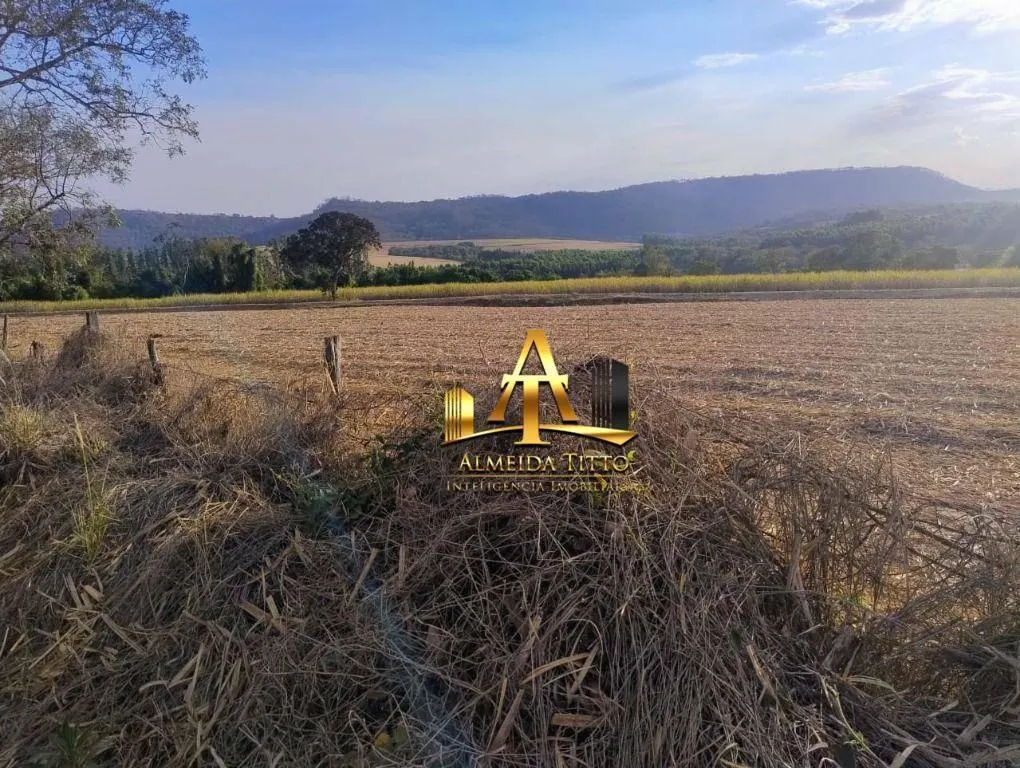 Fazenda à venda de 692 ha em Mococa, SP, Brasil