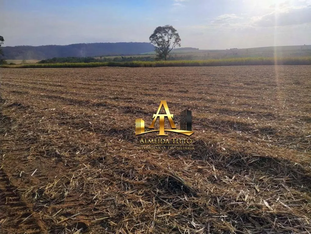 Fazenda à venda de 692 ha em Mococa, SP, Brasil