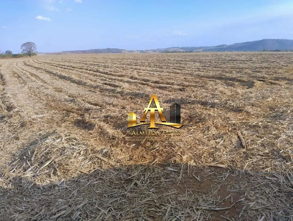 Fazenda à venda de 692 ha em Mococa, SP, Brasil