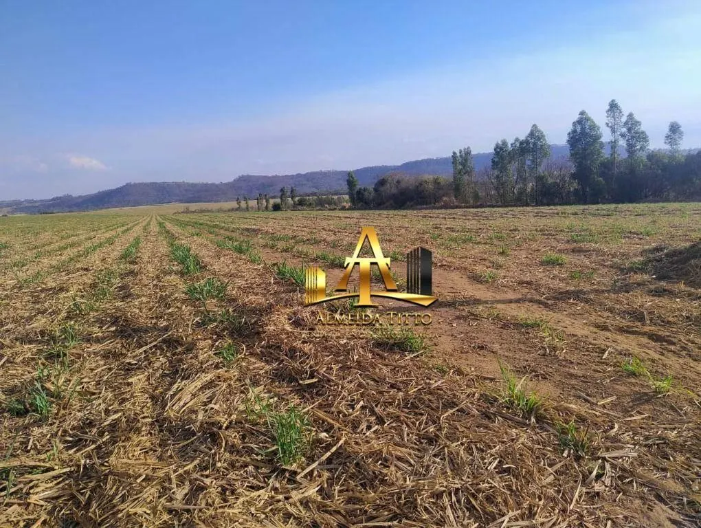 Fazenda à venda de 692 ha em Mococa, SP, Brasil