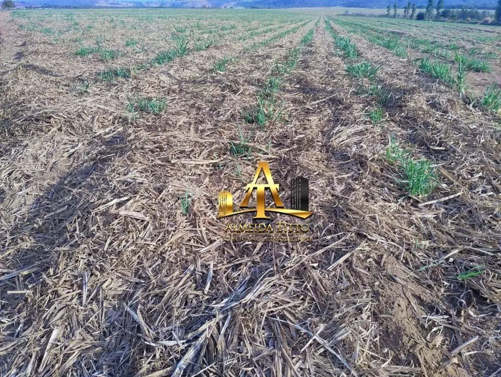 Fazenda à venda de 692 ha em Mococa, SP, Brasil
