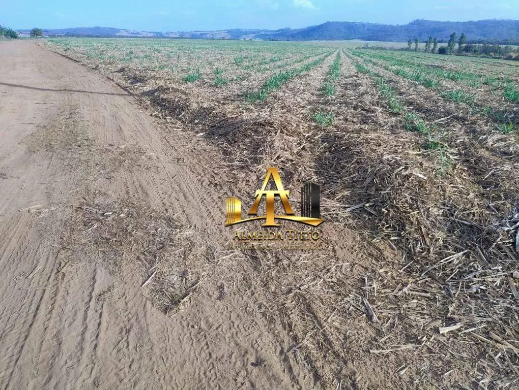 Fazenda à venda de 692 ha em Mococa, SP, Brasil