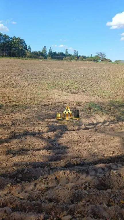 Fazenda à venda de 692 ha em Mococa, SP, Brasil