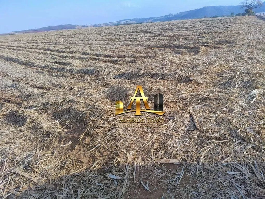 Fazenda à venda de 692 ha em Mococa, SP, Brasil