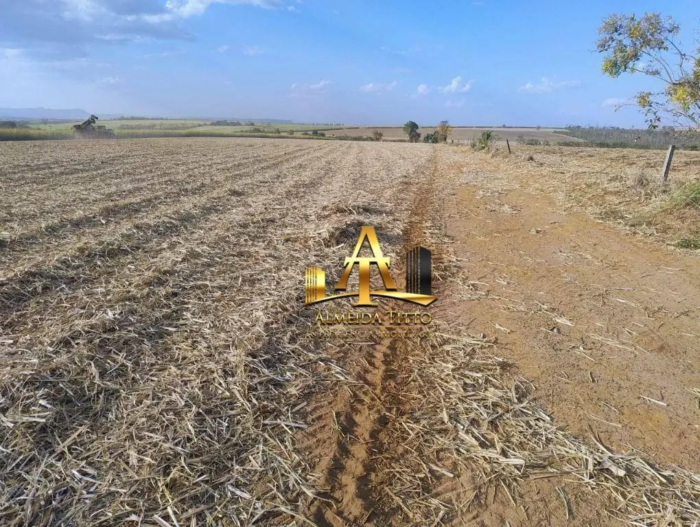 Fazenda à venda de 692 ha em Mococa, SP, Brasil