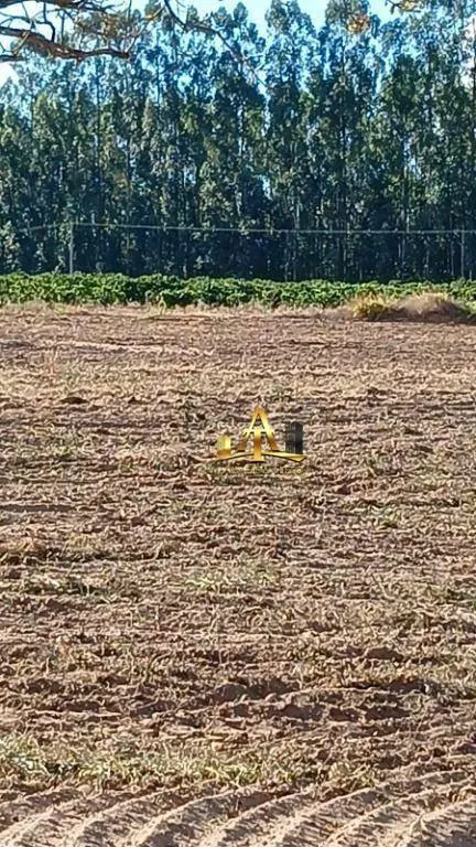 Fazenda à venda de 692 ha em Mococa, SP, Brasil