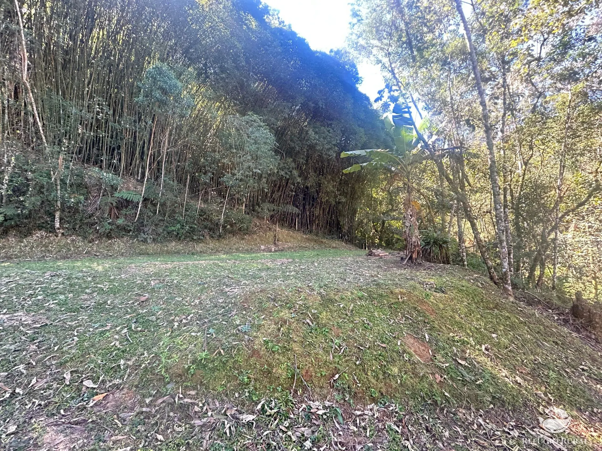 Small farm for sale of 6 acres in São José dos Campos, SP, Brazil