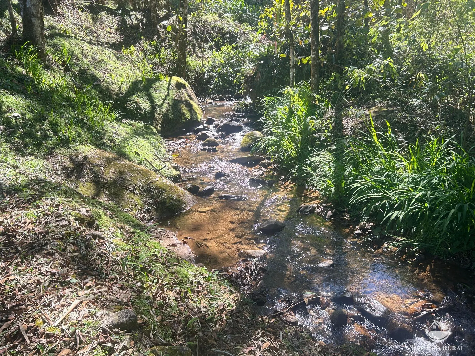 Small farm for sale of 6 acres in São José dos Campos, SP, Brazil