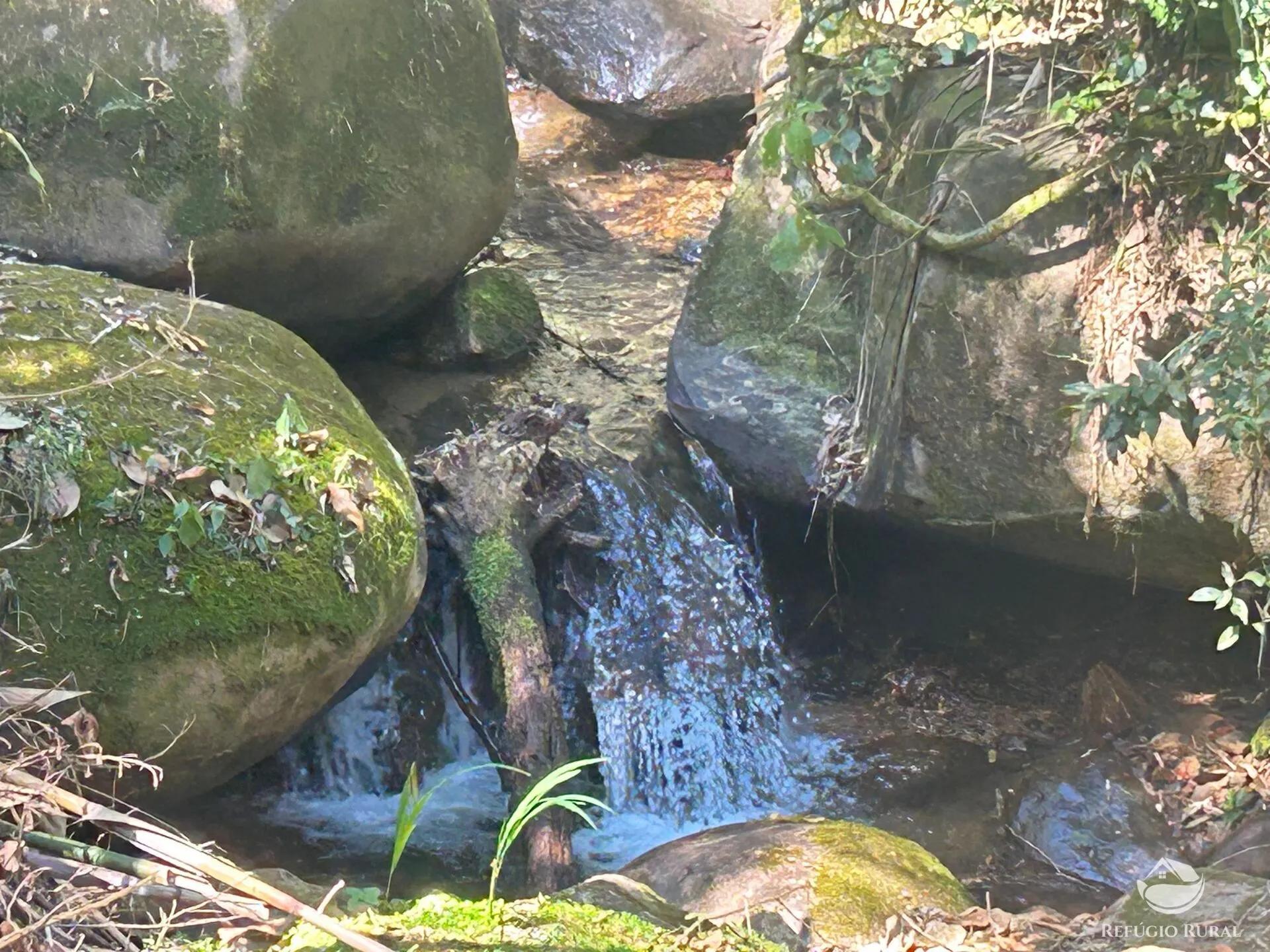 Small farm for sale of 6 acres in São José dos Campos, SP, Brazil