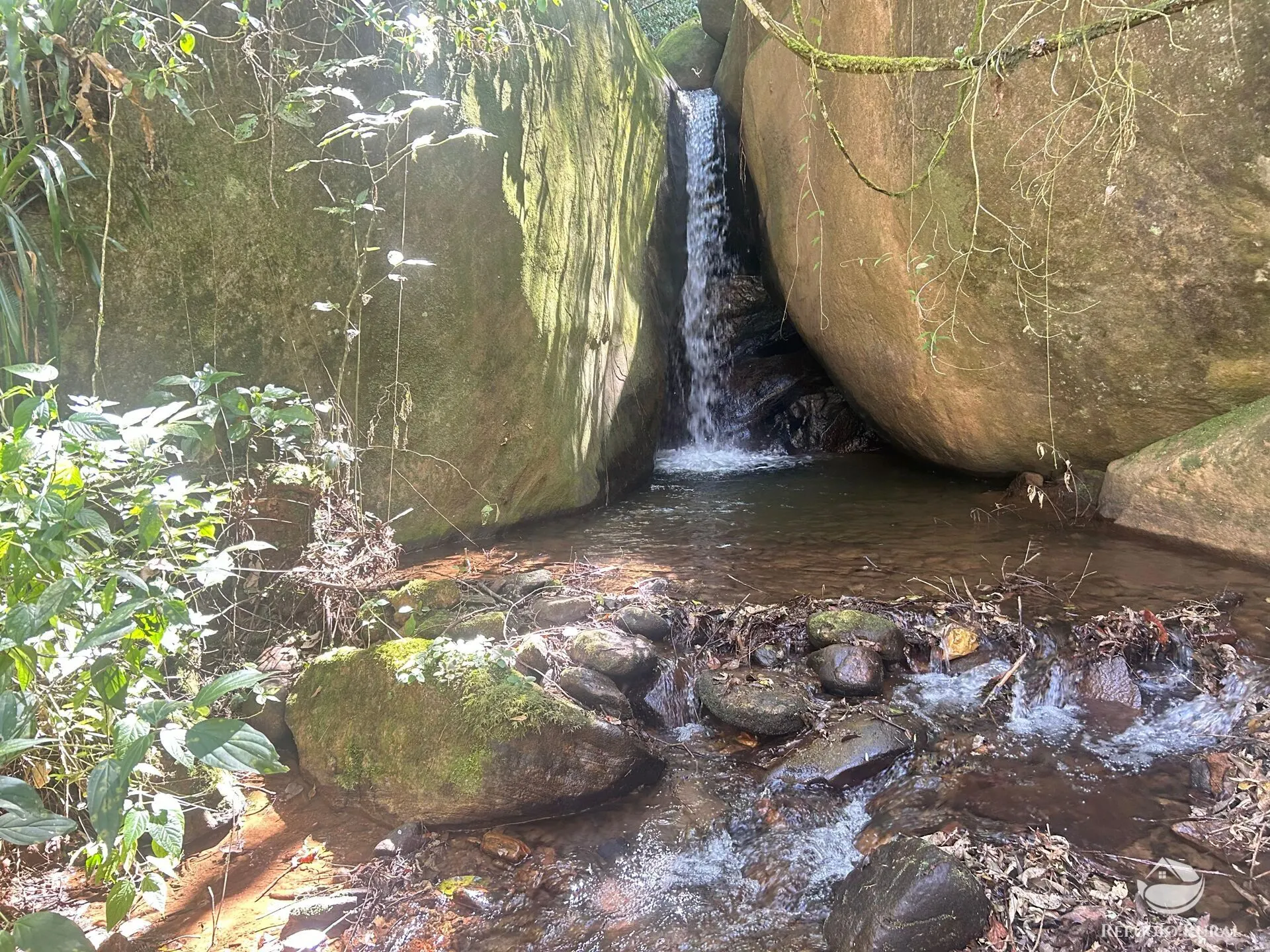 Small farm for sale of 6 acres in São José dos Campos, SP, Brazil