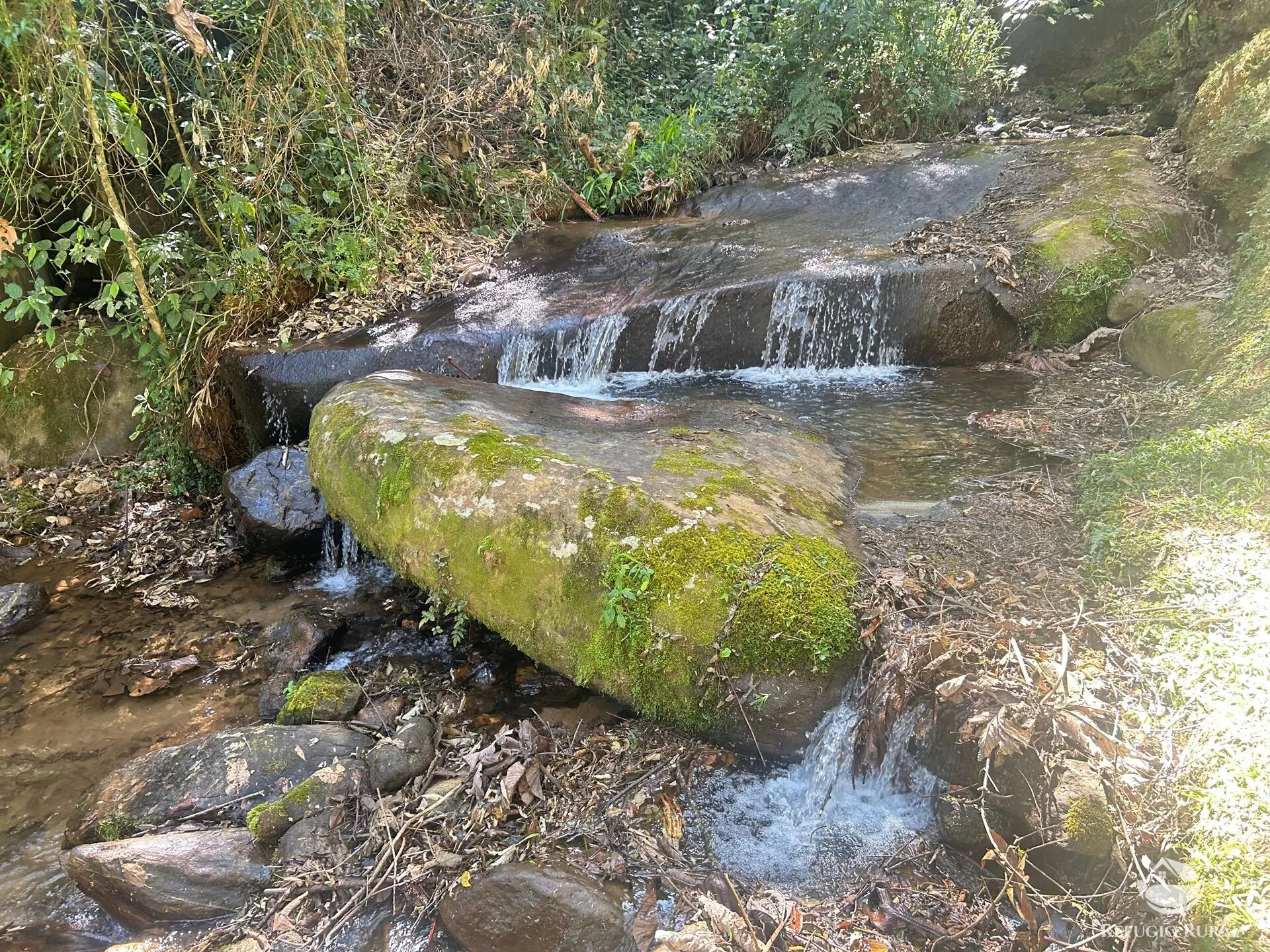 Small farm for sale of 6 acres in São José dos Campos, SP, Brazil